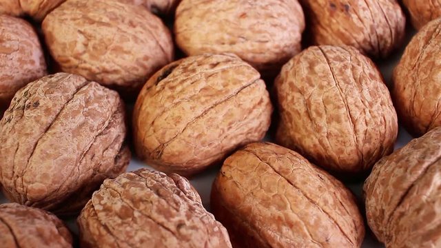 Walnut shell walnuts shells rotating texture pattern closeup footage