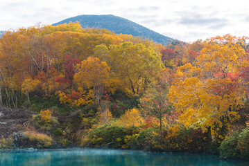 Autumn Onsen Lake Aomori Japan