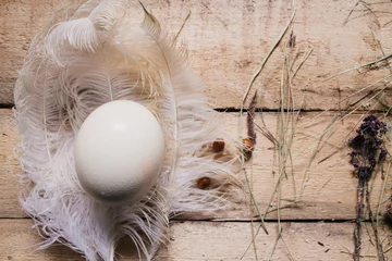 Fotobehang The ostrich egg lies in ostrich feathers. farm products © Elena Gorina
