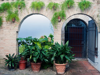 Fototapeta na wymiar Courtyard with pots, with a glass door and another behind bars 