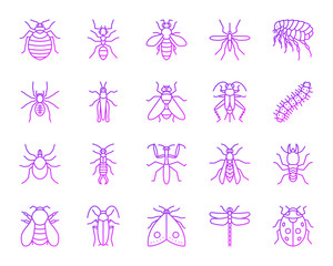 Danger Insect simple color line icons vector set