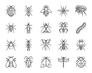 Danger Insect charcoal draw line icons vector set