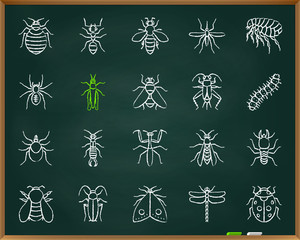 Danger Insect chalk draw line icons vector set
