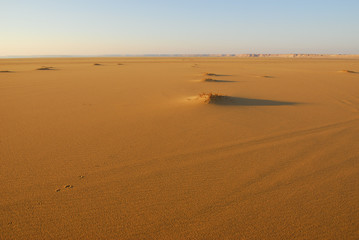 Fototapeta na wymiar Sahara Desert scenery. Egypt