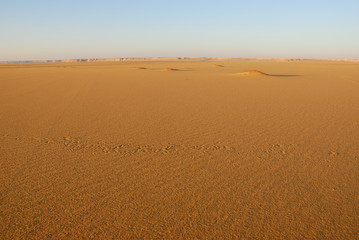 Sahara Desert scenery. Egypt