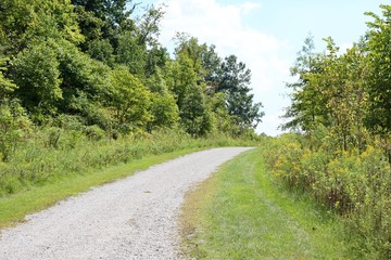 The gravel path going up hill in the parks tree area.