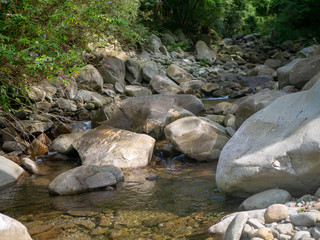 Naklejka na ściany i meble Rocky stream in a forest flowing between large stones and building shallow pools of water, quiet and relaxing in the sunny wilderness during summer
