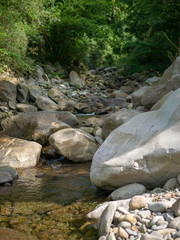 Naklejka na ściany i meble Rocky stream in a forest flowing between large stones and building shallow pools of water, quiet and relaxing in the sunny wilderness during summer