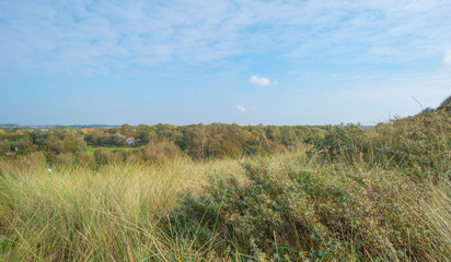 Sand dunes along the north sea coast below a blue sky in sunlight 