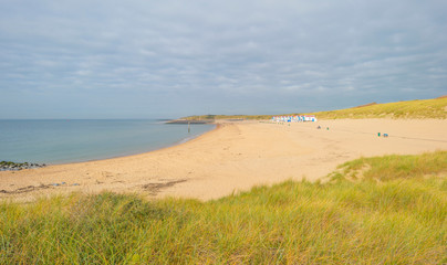 Beach along sea below a blue cloudy sky at fall