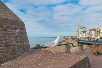 Ancient cannon protecting the coast of the dutch city of Vlissingen below a blue sky 