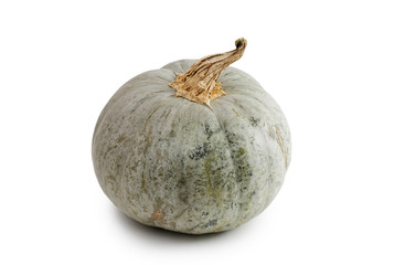 Closeup raw pumpkin isolated on white