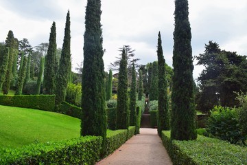 Beautiful landscaped Park with green grass and slender trees.