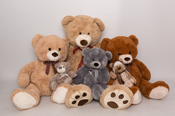 Osos de peluche en diferentes colores y tamaños 2.