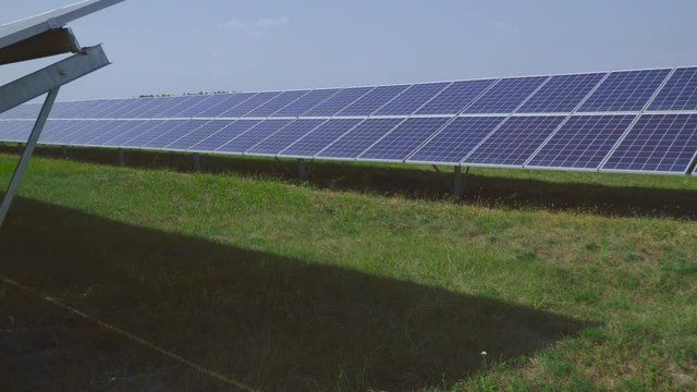 Solar panels stand in rows on the field.