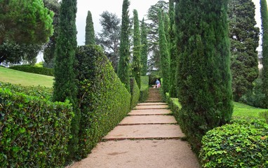 Beautiful landscaped Park with green grass and slender trees.