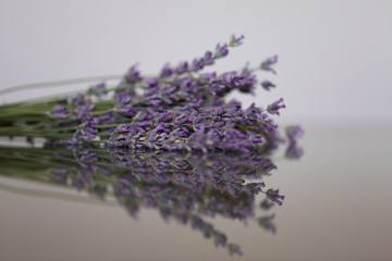 close up view of a lavender bouquet with reflection on glass. Flowers, plants and nature concept