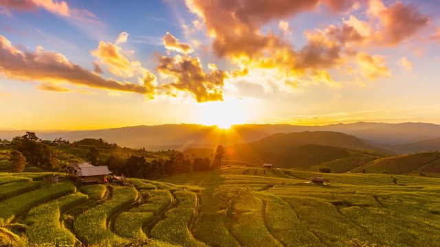 Terrace Rice Field Landscape Sunset Of Chiang Mai, Thailand 4K Time Lapse