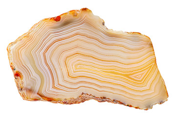 Amazing Banded Agate Crystal cross section cut isolated on white background. Natural light translucent agate crystal surface. Yellow orange abstract expressive structure slice mineral stone macro clos