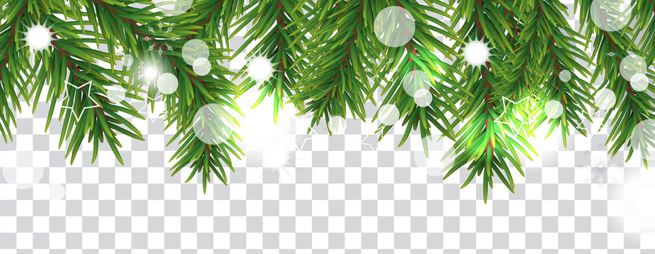 Christmas and happy New Year border of Christmas tree branches on transparent background. Holidays decoration. Vector illustration.
