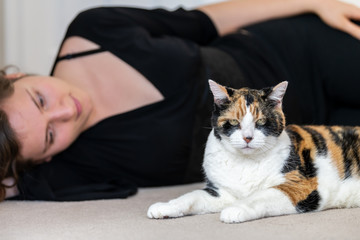 Closeup of calico cat lying on carpet floor together with female, woman, person owner beside, looking in home, house, apartment room, friendship, companion