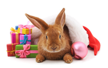 One brown rabbit with gifts.