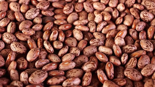 Bean, beans rotating closeup texture pattern background