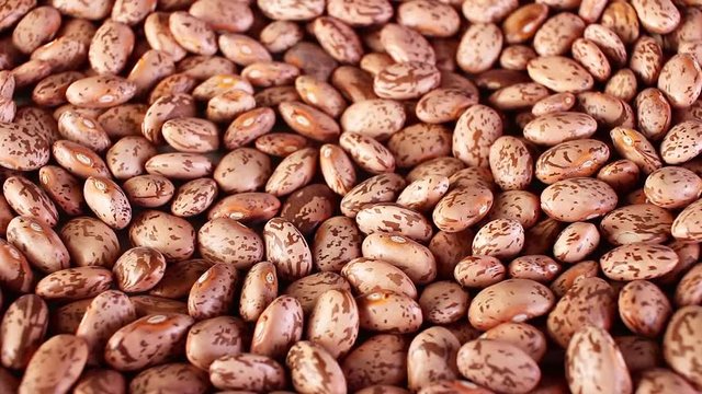 Bean, beans rotating closeup texture pattern background