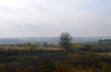 Obraz na płótnie Canvas autumn landscape in the village 