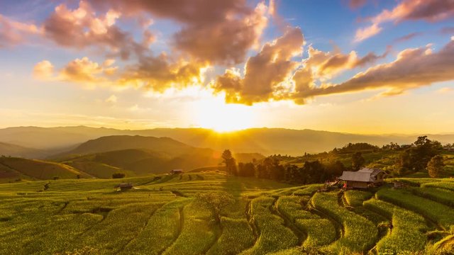 Terrace Rice Field Landscape Sunrise Of Chiang Mai, Thailand 4K Time Lapse