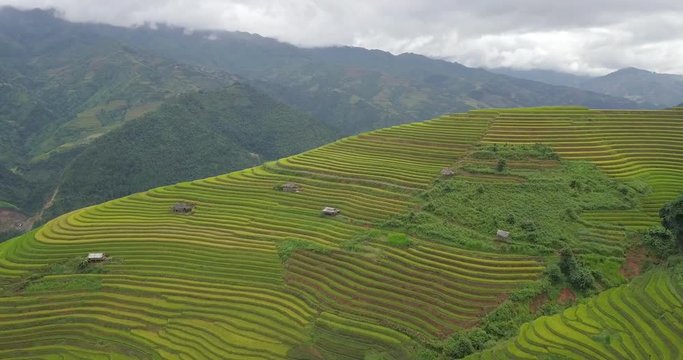 Top view of Vietnam landscapes with terraces rice field. Rice fields on terraced of Sapa, Lao Cai. Royalty high-quality free stock footage of terrace rice fields prepare the harvest at Vietnam