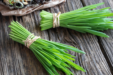 Freshly harvested barley grass on a rustic background