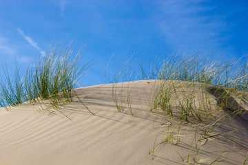 wind rippled sand dune with green grass, white sand and blue sunny sky