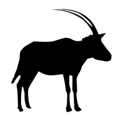 Silhouette Of A Gemsbok