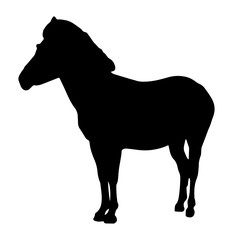 Silhouette Of A Horse