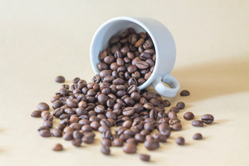 coffee beans in a cup