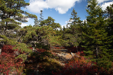 Obraz premium Park Narodowy Acadia, ME, USA.