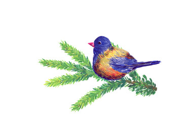 Sitting on a branch blue bird.Watercolor illustration. The main symbols of the holiday.Merry Christmas and Happy New Year background.Package concept.Layout, mockup design.