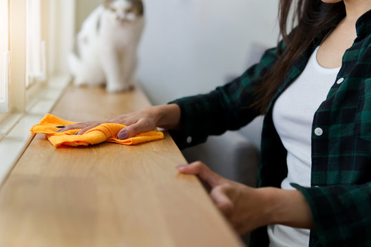 Housekeeping woman is cleaning wooden counter next to window, removing dust by wiping the orange rag while the cat is watching her. Happy cleaning concept. 