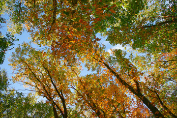 Der Herbst in Deutschland ist da
