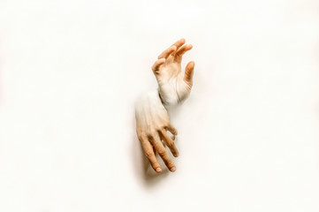 hands merge with the background, adult,arm,art,background,brushes,buried,color,concept,cookies,cut