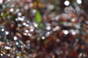 original abstract background texture in autumnal colors
