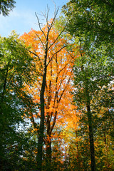 Der Herbst in Deutschland ist da