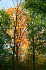 Der Herbst in Deutschland ist da