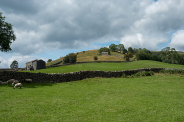 Obraz premium Yorkshire dale farmland