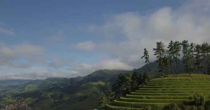 Vietnam landscapes with terraces rice field. Rice fields on terraced of Sapa, Lao Cai. Royalty high-quality free stock footage of beautiful terrace rice fields prepare the harvest at Vietnam