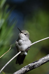 Just Sitting Here Being Cute