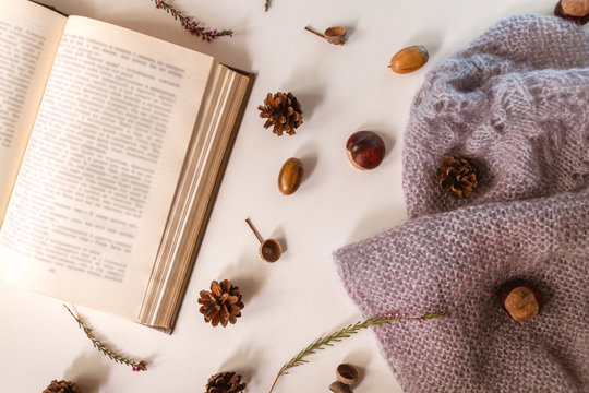 Autumn flat lay, top view. Open book with blurreed text, knitwork, heather, cones, acorns and chestnuts on a light background.