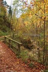 In the Glasenbach gorge in autumn, near Salzburg city, Austria, Europe.