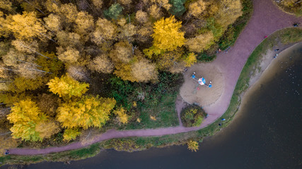 Aerial view. Directly above the deciduous forest in autumn. Top view of the grove with Oak and...